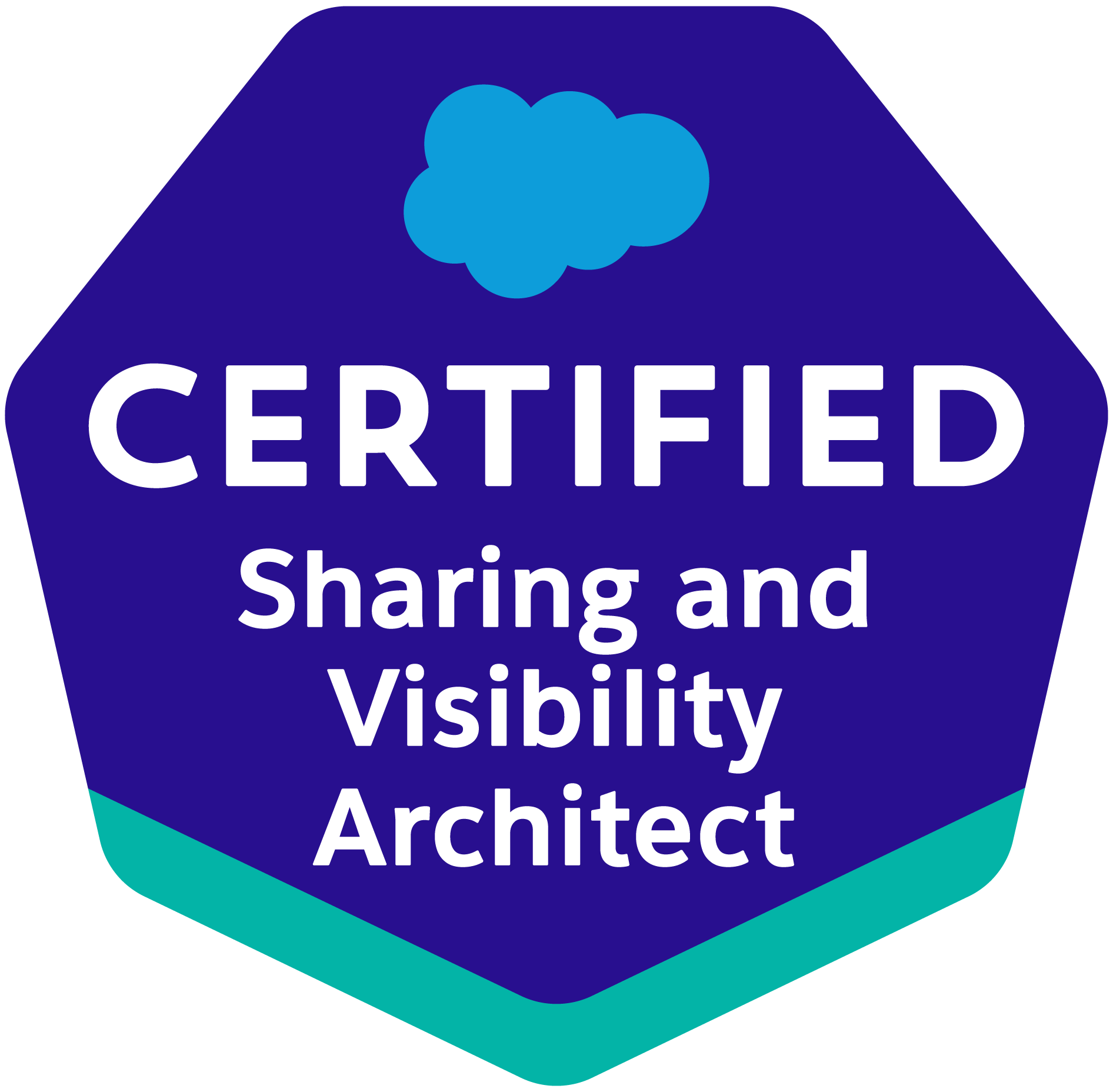 Salesforce Sharing and Visibility Architect